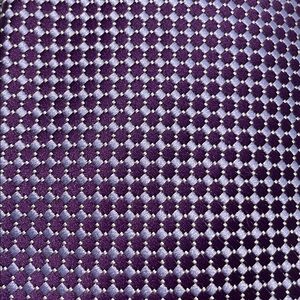 Charvet Purple and White Silk Tie